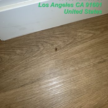 Sauer Properties - Roach - Property Management Near Me - North Hollywood, California Sauer Properties - Roach - Property Management Near Me - North Hollywood, California