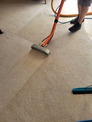 Chris' Mean Green Carpet Cleaning