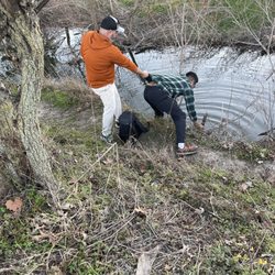 Steeplechase Park - Bring a disc retrieval tool