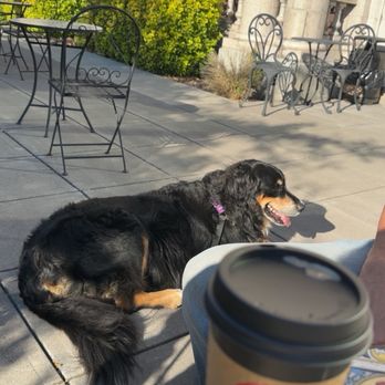 Monticello Coffee House - Coffee & Tea Near Me - Longview, Washington Monticello Coffee House - Coffee & Tea Near Me - Longview, Washington