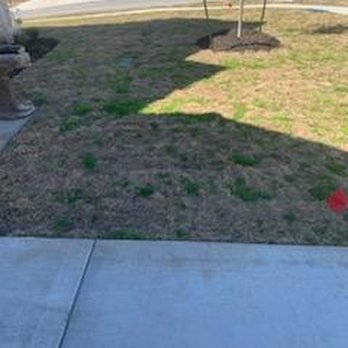 Savola Lawn Care - Lawn Services Near Me - Copperas Cove, Texas Savola Lawn Care - Lawn Services Near Me - Copperas Cove, Texas