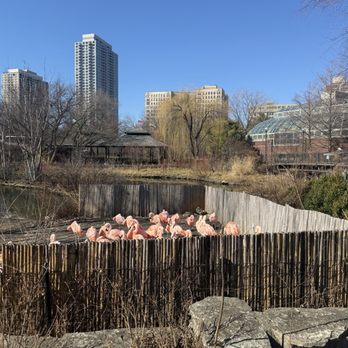 Lincoln Park Zoo - Zoos Near Me - Chicago, Illinois Lincoln Park Zoo - Zoos Near Me - Chicago, Illinois