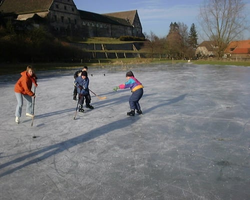 Schloss Hämelschenburg by null