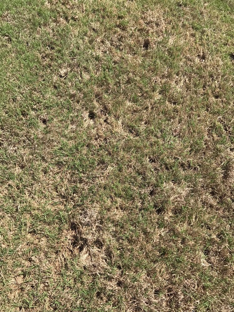 Slide of SF5 Construction