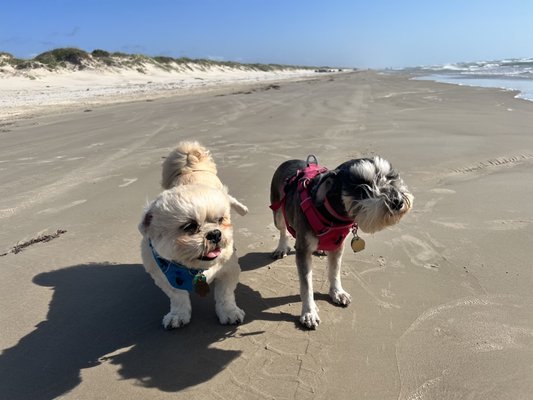Padre Island National Seashore - Malaquite Visitor Center by null