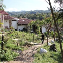 Tozepan Kali
