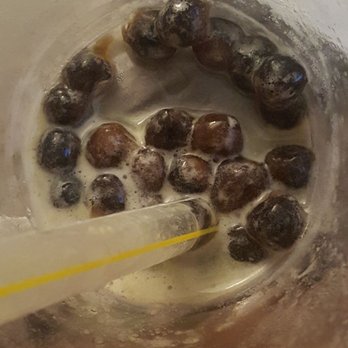 Tea Cafe - Uncooked Boba. I tried to eat some but gave up. - Coffee & Tea Near Me - Aiea, Hawaii Tea Cafe - Uncooked Boba. I tried to eat some but gave up. - Coffee & Tea Near Me - Aiea, Hawaii