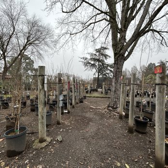 Urban Tree Farm Nursery - Nurseries & Gardening Near Me - Fulton, California