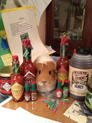 TABASCO Country Store by null