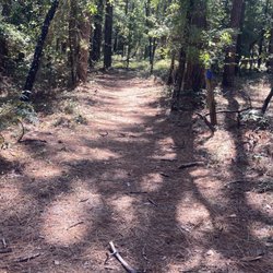 Little Pee Dee State Park - Beaver Pond Trail.