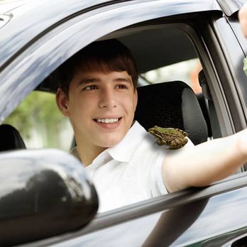 Just Drive - Driving Schools Near Me - Wales, Wisconsin Just Drive - Driving Schools Near Me - Wales, Wisconsin