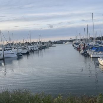 Marina Seafood Dockside Patio - View - Seafood Near Me - Berkeley, California