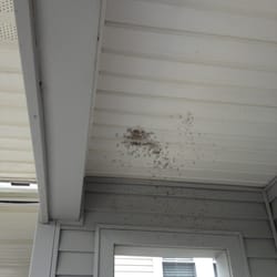Beach House Rental - Mold