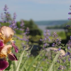The Inn on Lake Champlain