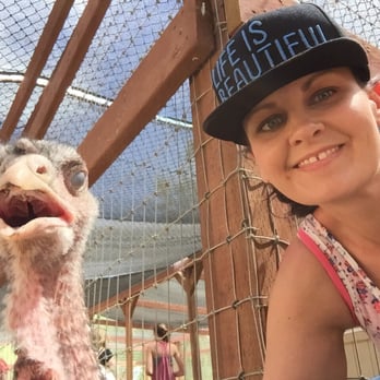 Farm Sanctuary - Animal Shelters Near Me - Acton, California
