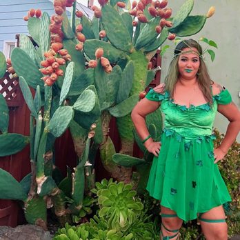 Spirit Halloween - Poison Ivy2024 - Costumes Near Me - Sunnyvale, California