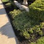 Photo of A&r Home And Garden Plus Services