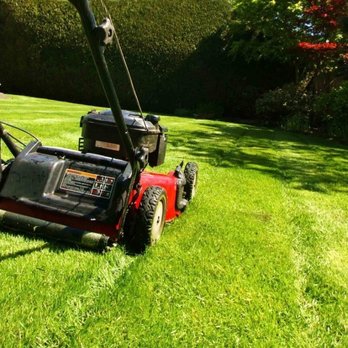 Sunshine Quality Cuts - a lawn mower cutting the grass - Lawn Services Near Me Sunshine Quality Cuts - a lawn mower cutting the grass - Lawn Services Near Me