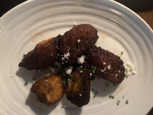 Iguana On Park by null