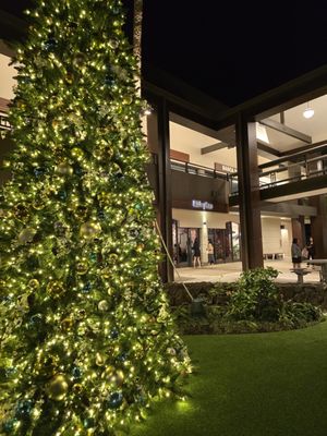 Manoa Marketplace by null
