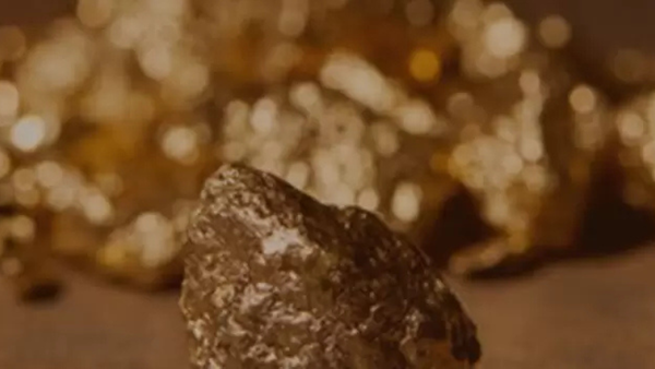 Coin & Gold Exchange by null