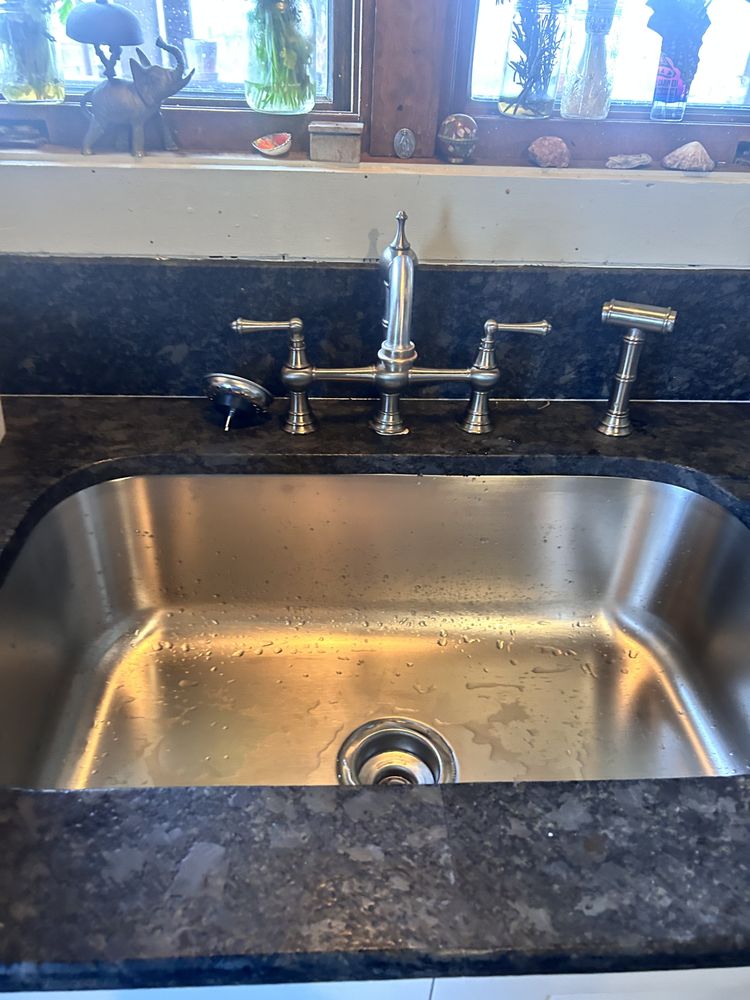 Slide of Fish The Plumber