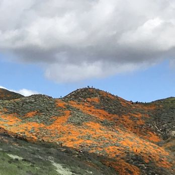 Walker Canyon Ecological Reserve - Wildlife Hunting Ranges Near Me