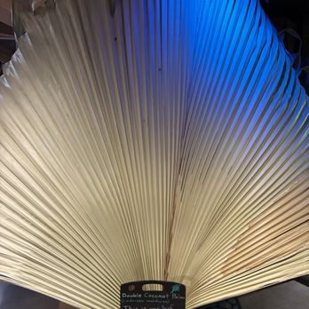 Missouri Botanical Garden - 9/12/26: largest leaf - Botanical Gardens Near Me - Saint Louis, Missouri Missouri Botanical Garden - 9/12/26: largest leaf - Botanical Gardens Near Me - Saint Louis, Missouri