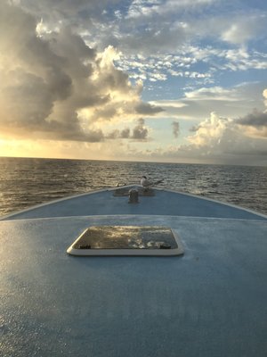 BLACK DOG DRIFT FISHING CHARTERS - 36 Photos & 23 Reviews - Boating