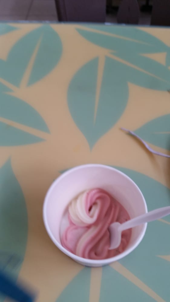 CRAVE FROZEN YOGURT CAFE Updated September 2024 2625 Scottsville Rd, Bowling Green, Kentucky