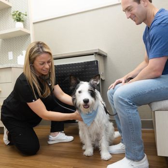 GoodVets Hermosa Beach - Veterinarians Near Me - Hermosa Beach, California GoodVets Hermosa Beach - Veterinarians Near Me - Hermosa Beach, California