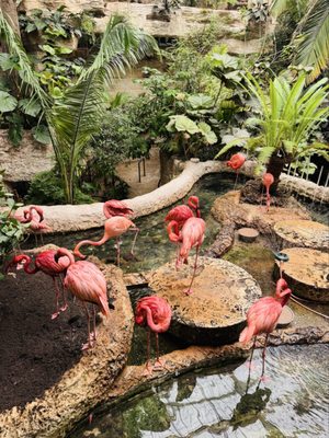 The Dallas World Aquarium by null