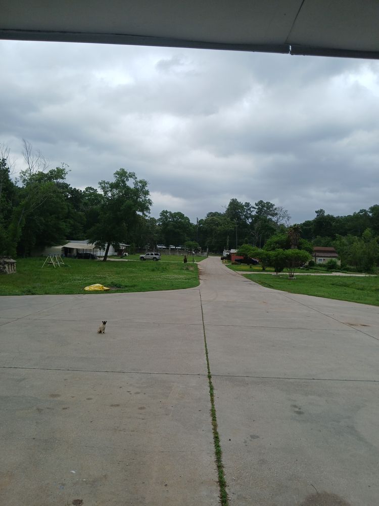 QUINONES PROPERTY Updated April 2024 Request Information Cut and