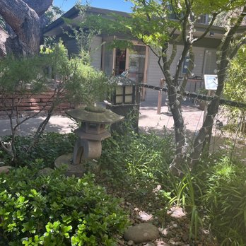 Curaleaf - So peaceful - Cannabis Dispensaries Near Me - Sedona, Arizona