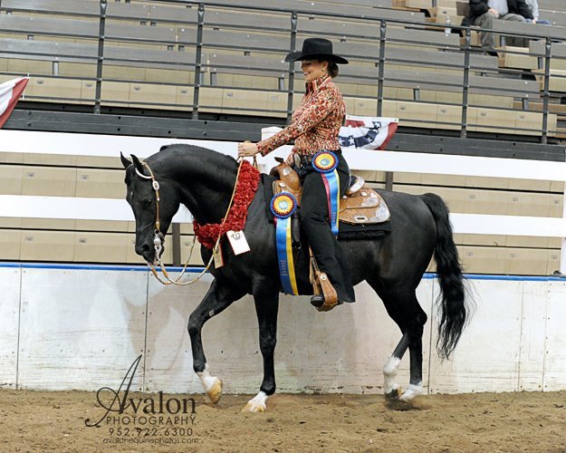 Prairie Gem Stables - equestrian in Omaha, NE