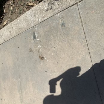 Onyx Properties - Dog poops smears - Apartments Near Me - Visalia, California
