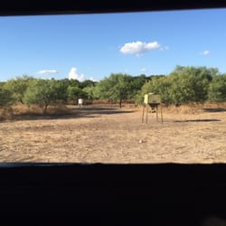 DB Hunting Ranch