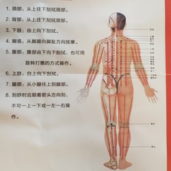 Asia Foot Massage - A meridian is an energetic highway in the human body. Meridians allow for the flow of energy, known as Qi, to circulate