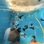 Fish Warehouse