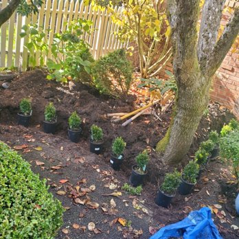Henry's Outdoor Services - Hedges - Landscaping Near Me - burien, Washington Henry's Outdoor Services - Hedges - Landscaping Near Me - burien, Washington