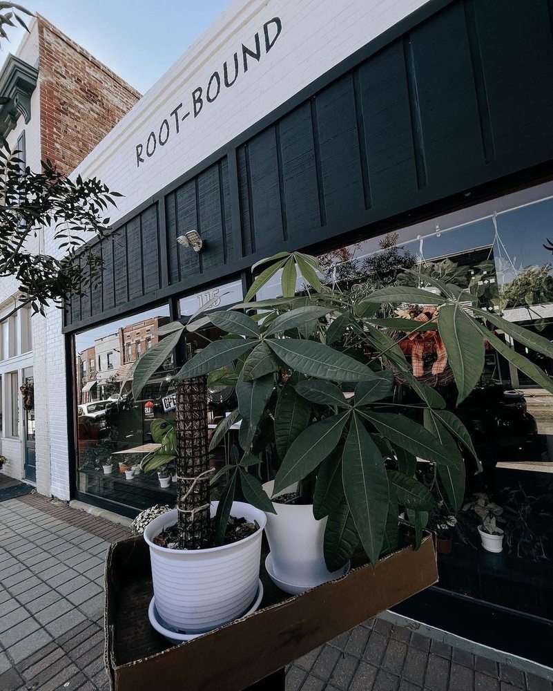 ROOT BOUND Updated September 2024 Request Information 115 N