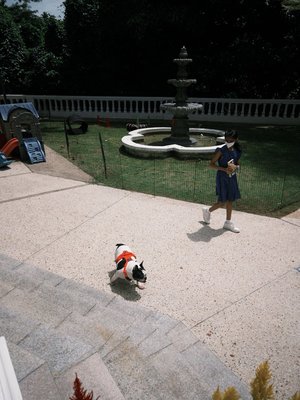 The Alkaff Mansion by null