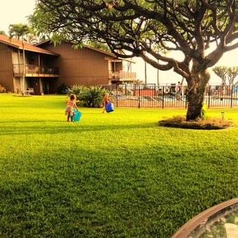 Polynesian Shores Condominium - This was our backyard during our stay! - Resorts Near Me - Lahaina, Hawaii Polynesian Shores Condominium - This was our backyard during our stay! - Resorts Near Me - Lahaina, Hawaii