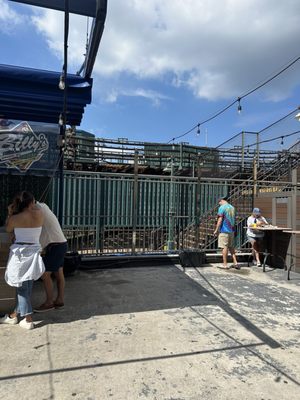 Billy's Sports Bar by null