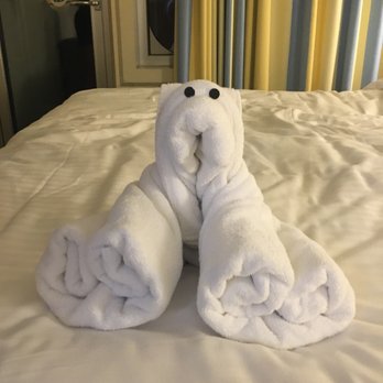 Carnival Breeze - towel bear by our room service guy, I Made - Travel Services Near Me - Miami, Florida