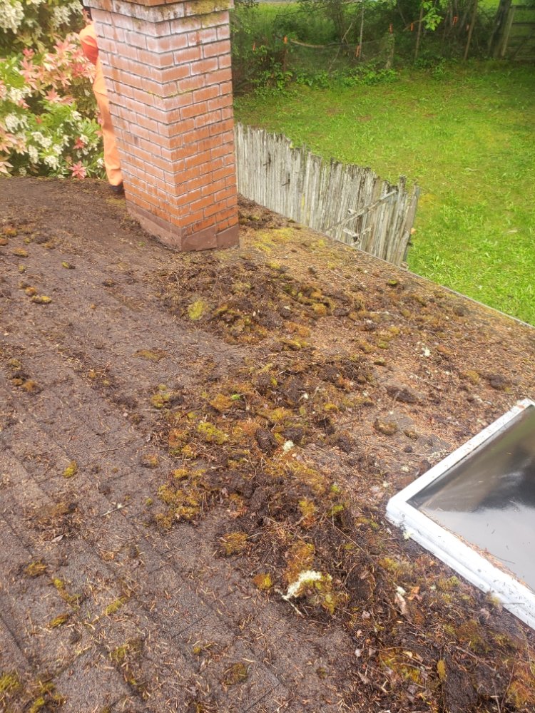 Slide of Diamond Touch Roof Cleaning and Repair