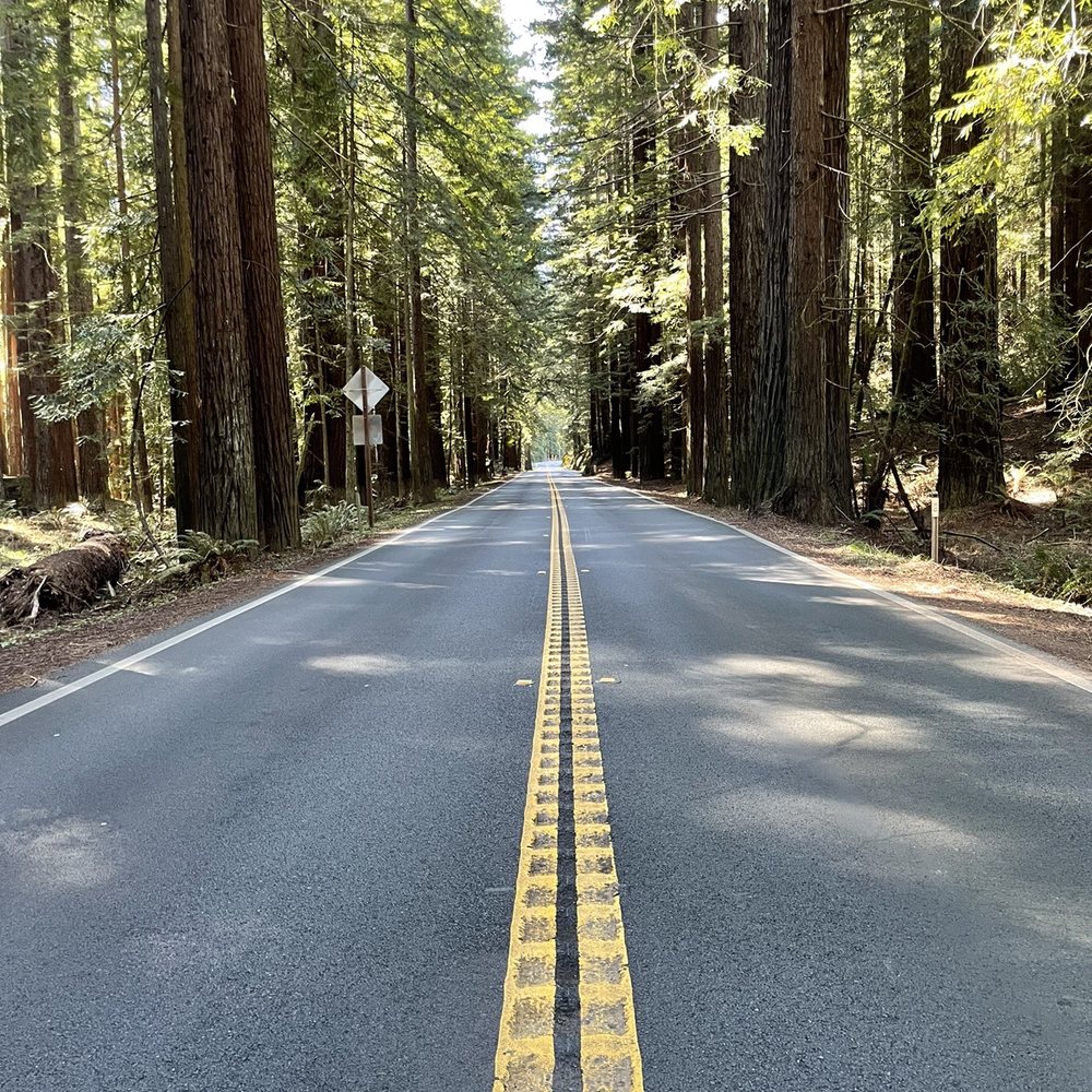 Surf and Sand Lodge - Don't hurry to get here. Stop the car, get out and smell the Redwoods! - Hotels Near Me - Fort Bragg, California Surf and Sand Lodge - Don't hurry to get here. Stop the car, get out and smell the Redwoods! - Hotels Near Me - Fort Bragg, California