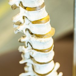 Revive Wellness & Rejuvenation - Top Rated Chiropractor