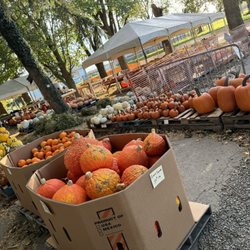 Farmer John's Market