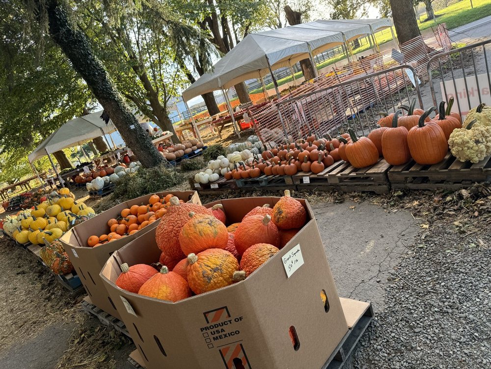 Farmer John's Market Logo